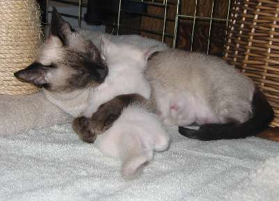 Wrestling with momma