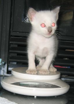 Fern - I'm practicing being up on a pedestal.