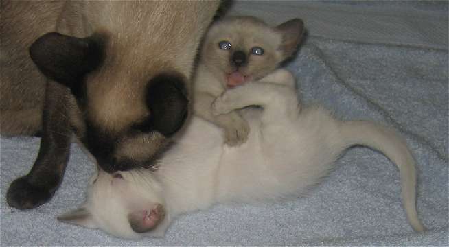 You hold her Mom while I tickle her , eeehehehe