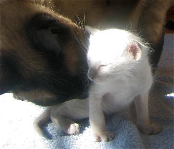 Lilac gets kisses from Auntie Em