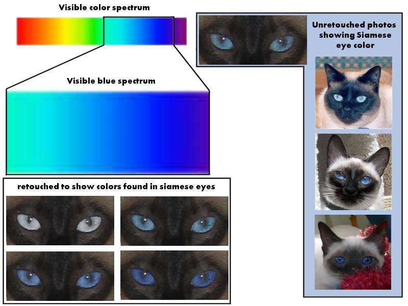 Cat Eyes Colours
