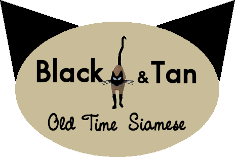 Black&Tan Siamese is a CFA registered small in home hobby breeder of old time Siamese cats in central Massachusetts.